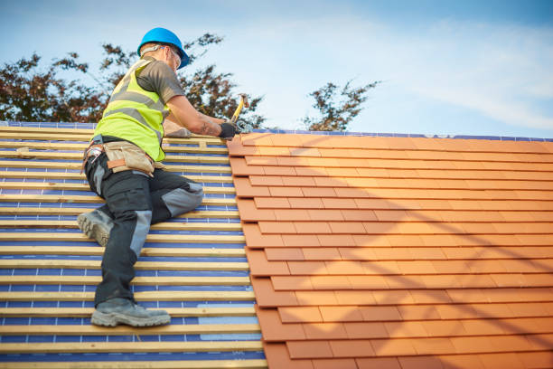 Best Metal Roofing Installation  in Ashland, MO